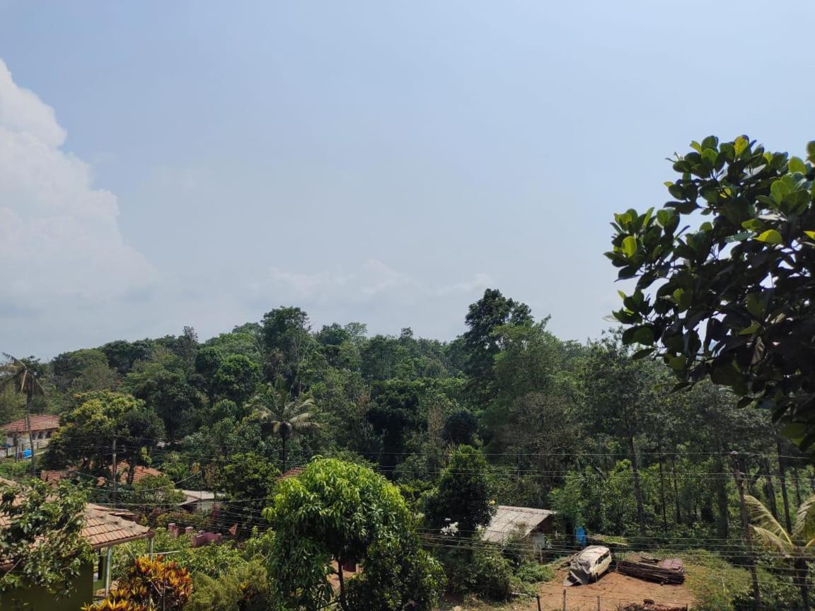 Green Land Estate Homestay 5 Rooms With Garden View Madikeri Extérieur photo