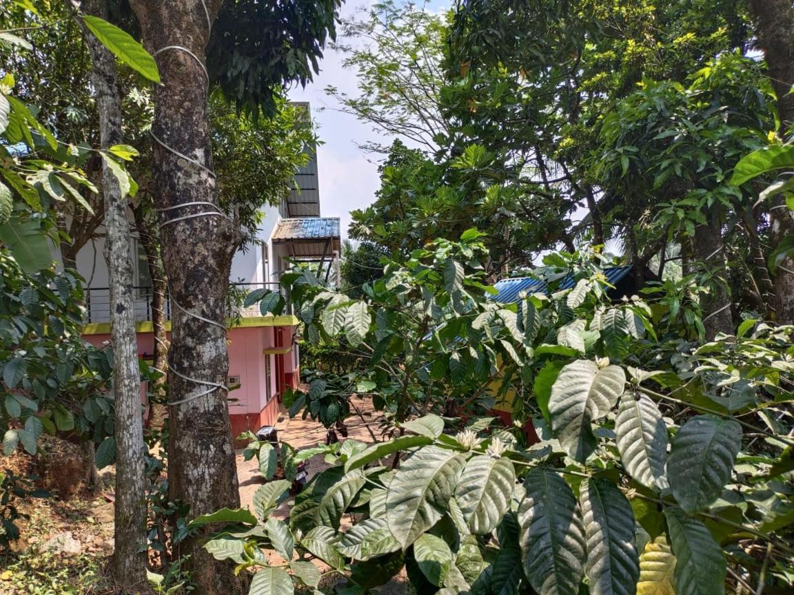 Green Land Estate Homestay 5 Rooms With Garden View Madikeri Extérieur photo