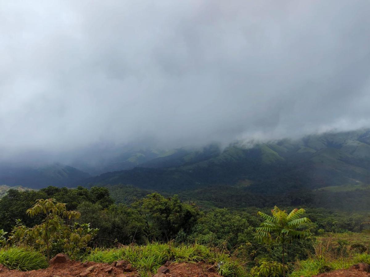 Green Land Estate Homestay 5 Rooms With Garden View Madikeri Extérieur photo